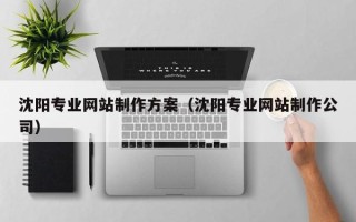 河源沈阳专业网站制作方案（沈阳专业网站制作公司）